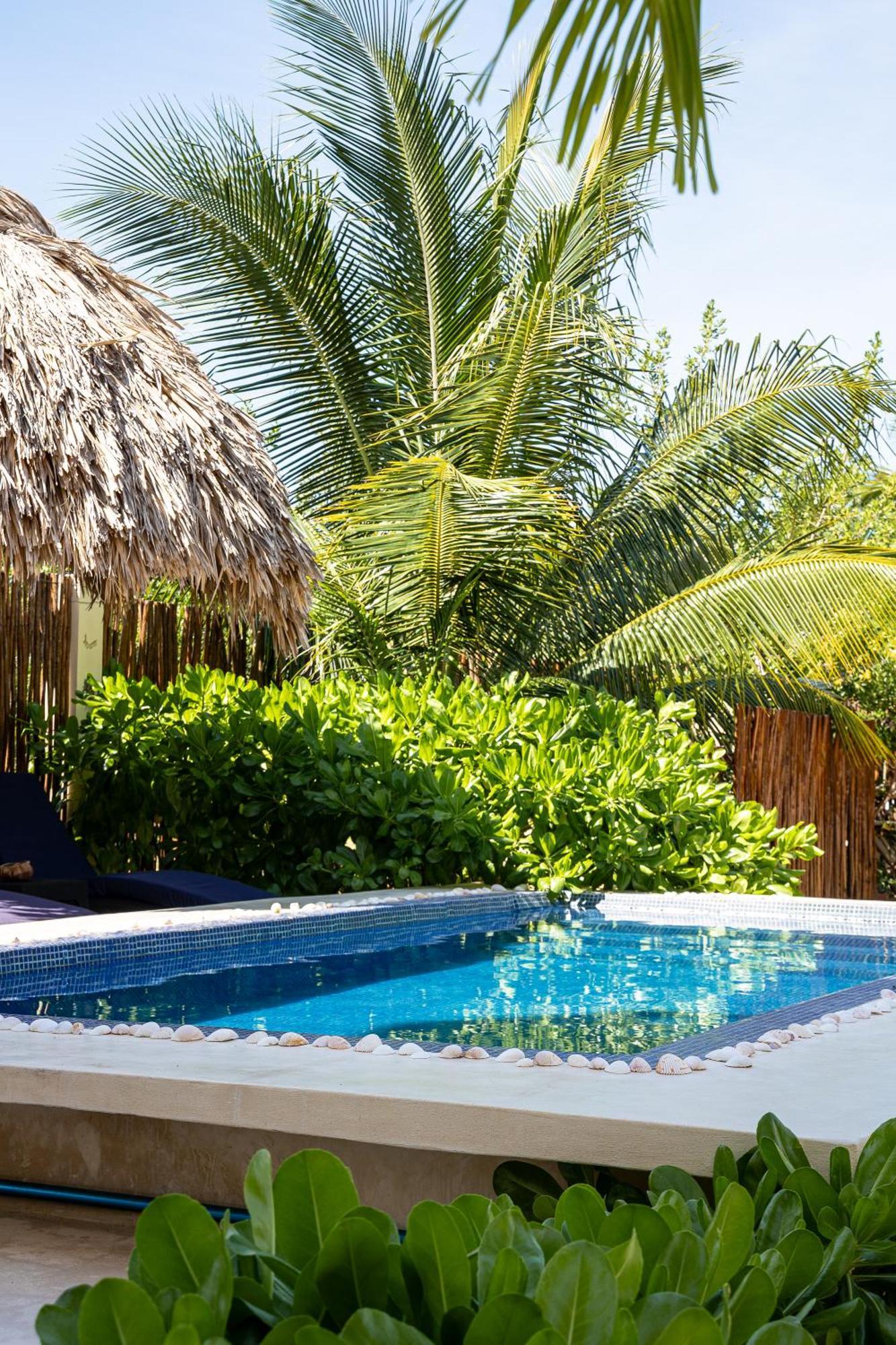Atenea Holbox ภายนอก รูปภาพ